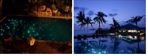 Swimming Pool Fiber Optic Lights