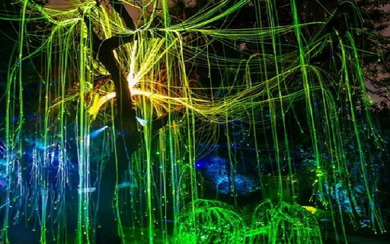 Shenzhen Happy Valley launches special night tour product, 5D fantasy light and shadow forest